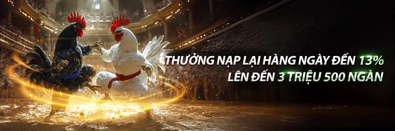 Trải nghiệm đá gà trực tuyến đỉnh cao tại shbet1 win