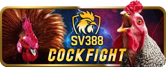 Đăng nhập shbet1 win trên di động
